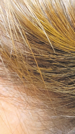 �J���[�Ŏg�p