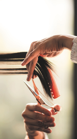 �J�b�g&�f�U�C��